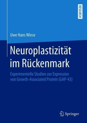 Neuroplastizität im Rückenmark