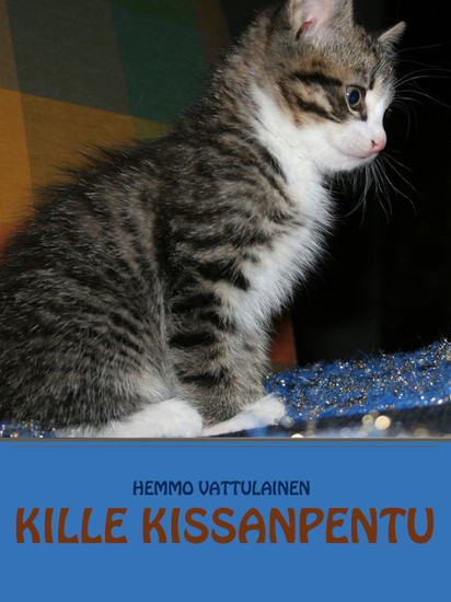 Kille Kissanpentu main product photo