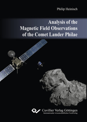 Analysis of the Magnetic Field Observations of the Comet Lander Philae