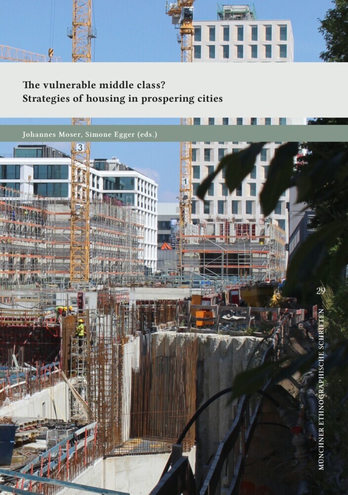 The vulnerable middle class? main product photo