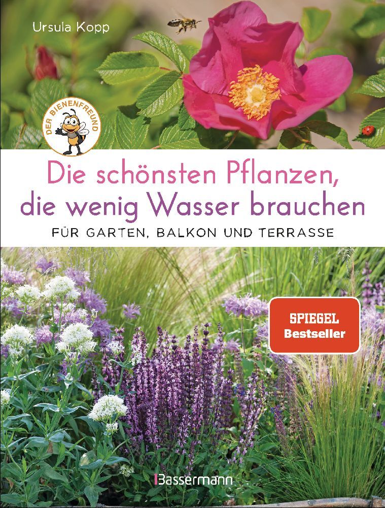 Die schönsten Pflanzen, die wenig Wasser brauchen für Garten, Balkon und Terrasse main product photo