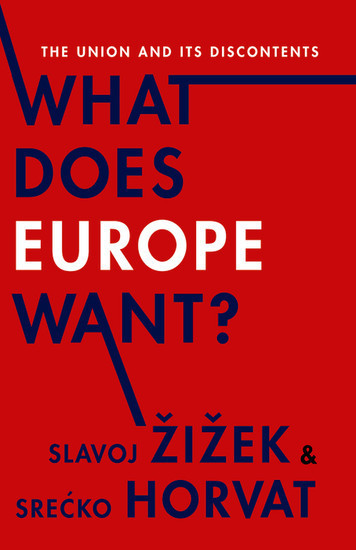 What Does Europe Want? main product photo