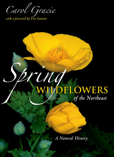 Spring Wildflowers of the Northeast main product photo