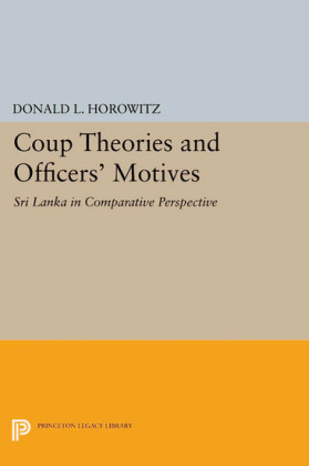 Coup Theories and Officers' Motives