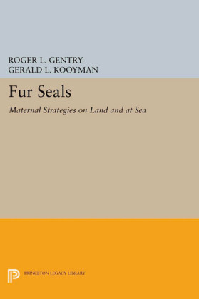 Fur Seals