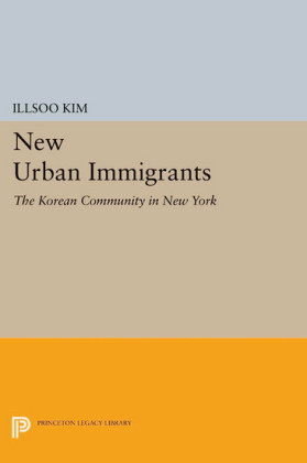 New Urban Immigrants