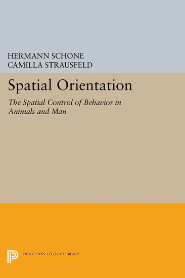 Spatial Orientation main product photo