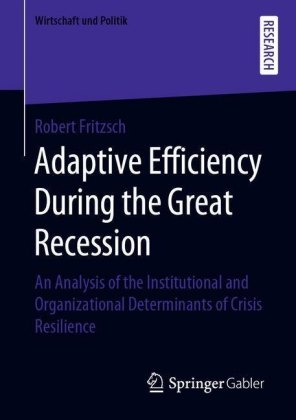 Adaptive Efficiency During the Great Recession