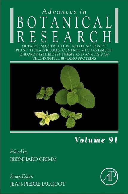 Metabolism, Structure and Function of Plant Tetrapyrroles: Control Mechanisms of Chlorophyll Biosynthesis and Analysis of Chlorophyll-Binding Proteins main product photo