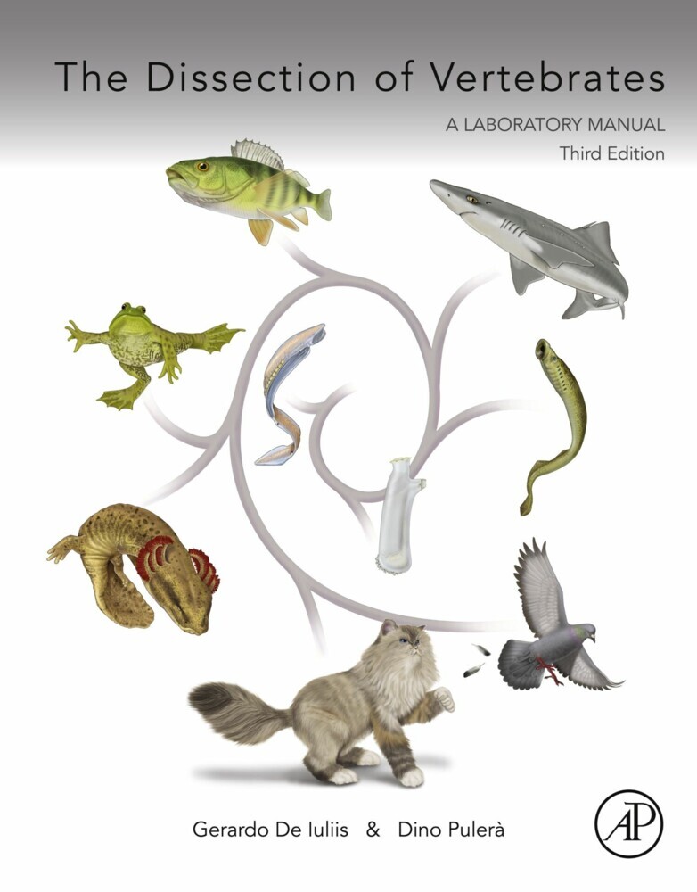 The Dissection of Vertebrates main product photo
