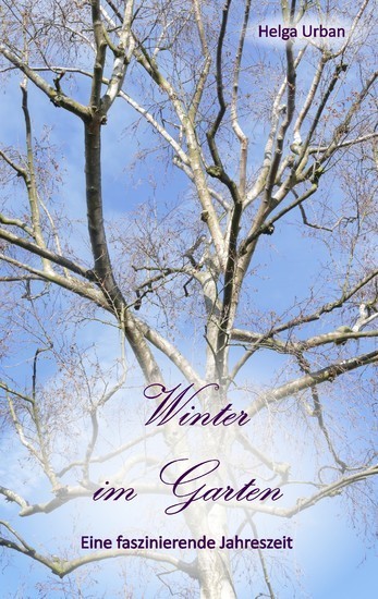 Winter im Garten main product photo