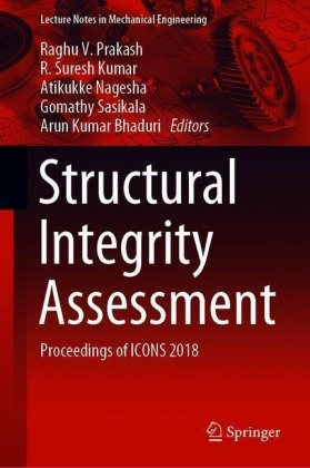 Structural Integrity Assessment
