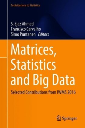 Matrices, Statistics and Big Data