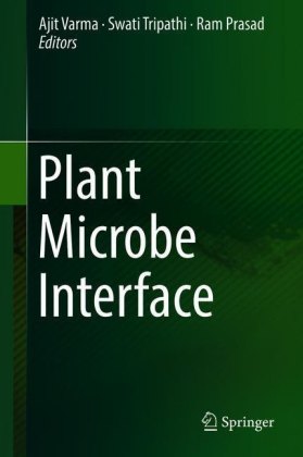 Plant Microbe Interface