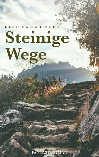 Steinige Wege main product photo