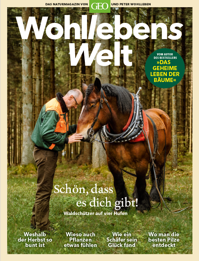 Wohllebens Welt / Wohllebens Welt - 3/2019 Neue Ideen für nachhaltigen Umgang main product photo