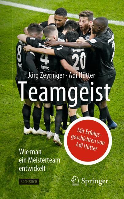 Teamgeist main product photo