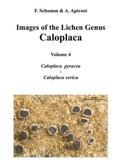 Images of the Lichen Genus Caloplaca, Vol4 main product photo
