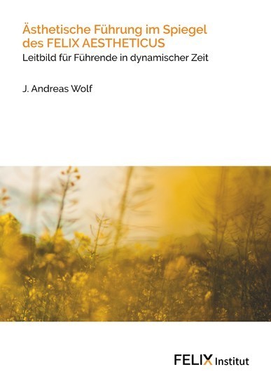 Ästhetische Führung im Spiegel des FELIX AESTHETICUS main product photo