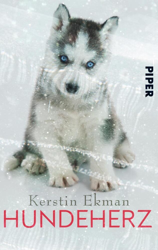 Hundeherz main product photo