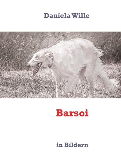 Barsoi main product photo