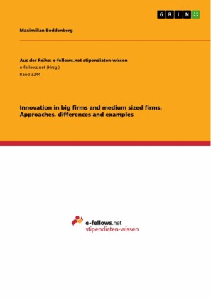 Innovation in big firms and medium sized firms. Approaches, differences and examples