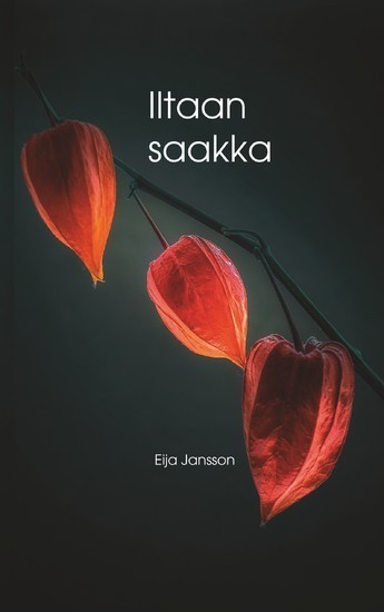 Iltaan saakka main product photo