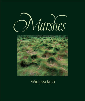 Marshes