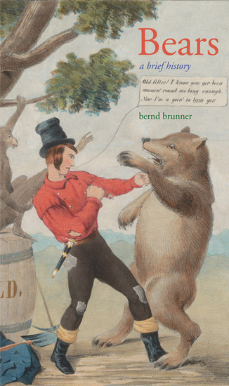 Bears main product photo