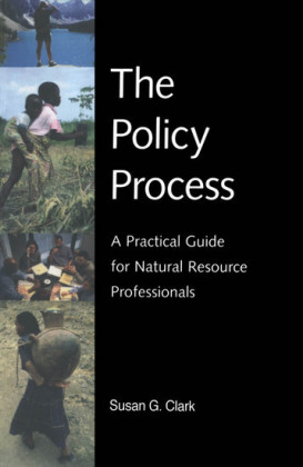 The Policy Process