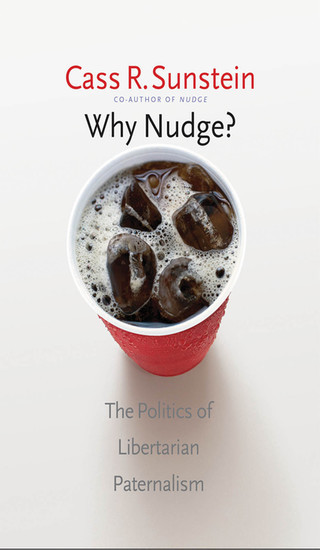 Why Nudge? main product photo