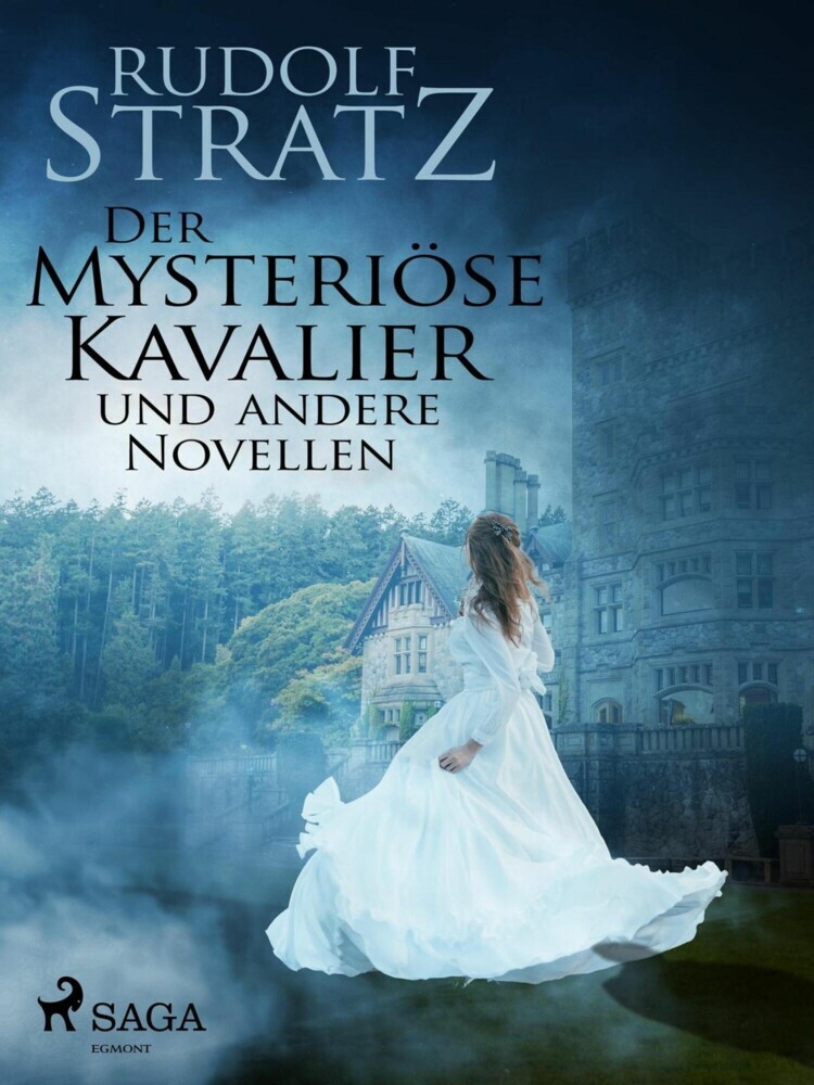 Der mysteriöse Kavalier und andere Novellen main product photo