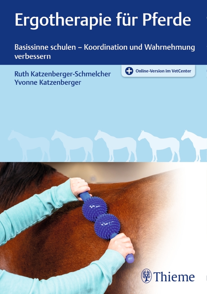 Ergotherapie für Pferde main product photo