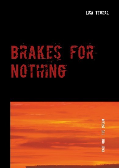 Brakes for Nothing main product photo