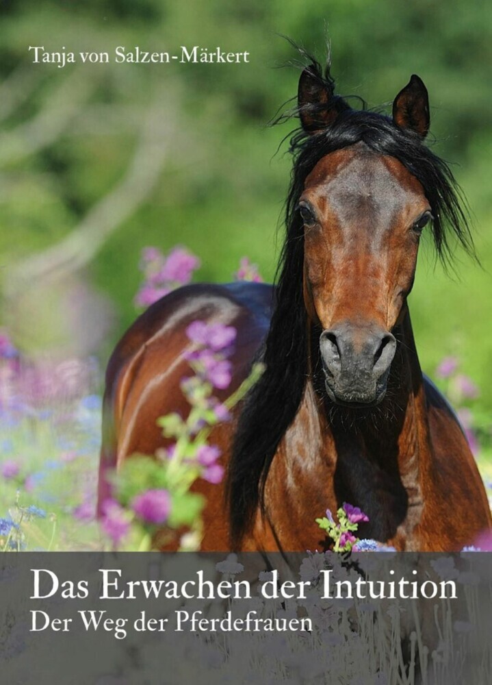 Das Erwachen der Intuition main product photo
