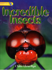 Literacy World Satellites Non Fic Stg 1 Incredible Insects