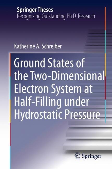 Ground States of the Two-Dimensional Electron System at Half-Filling under Hydrostatic Pressure main product photo