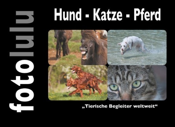 Hund - Katze - Pferd main product photo
