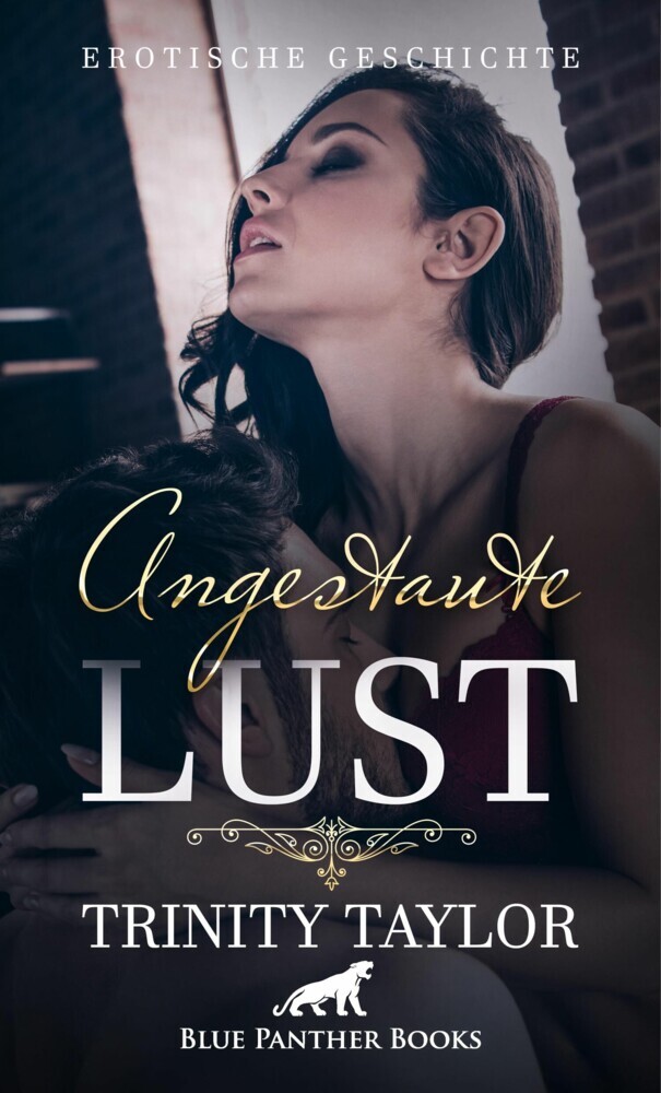 Angestaute Lust | Erotische Geschichte main product photo