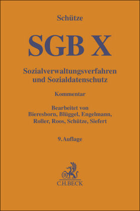 SGB X