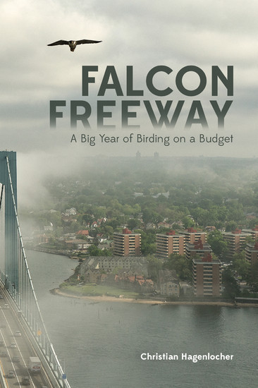 Falcon Freeway main product photo
