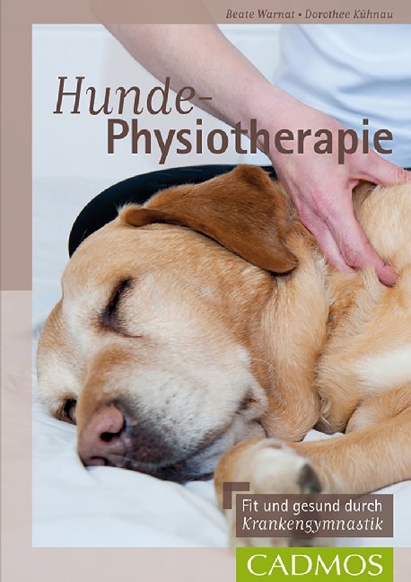 Hunde-Physiotherapie main product photo