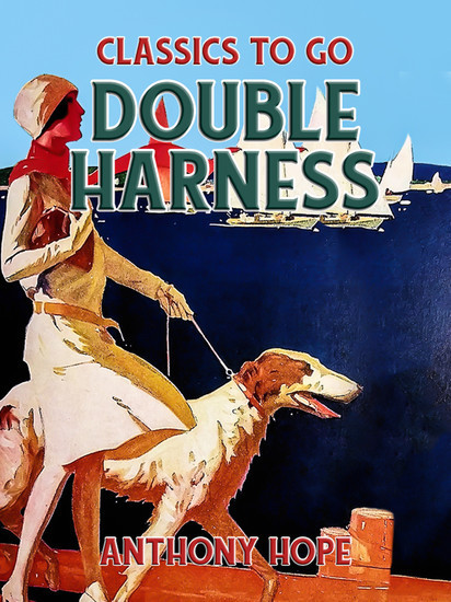 Double Harness main product photo
