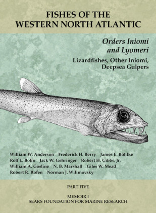 Orders Iniomi and Lyomeri