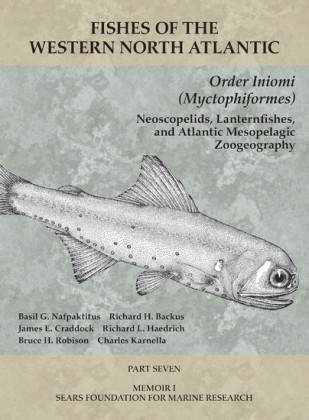 Order Iniomi (Myctophiformes)