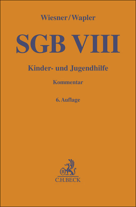 SGB VIII main product photo