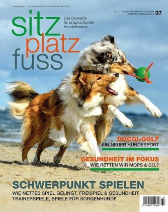 Schwerpunkt Spielen