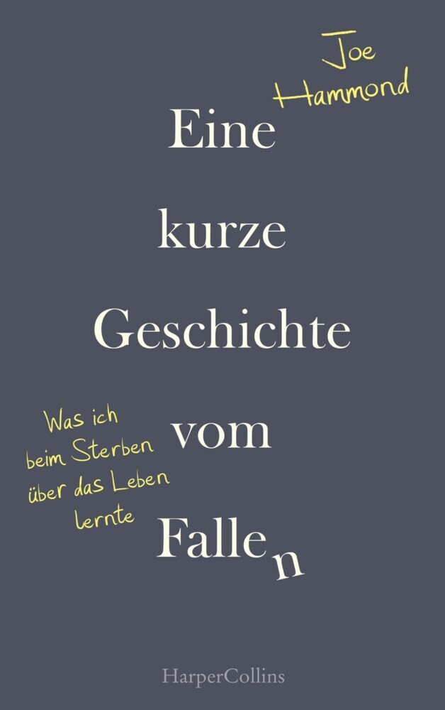 Eine kurze Geschichte vom Fallen - Was ich beim Sterben über das Leben lernte main product photo