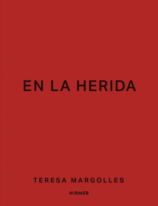 Teresa Margolles - En la herida