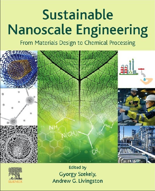 Sustainable Nanoscale Engineering main product photo